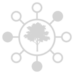 Logo de Dark Forest. En el centro un árbol, rodeado por un círculo y desde el círculo 8 líneas que finalizan en círuclos más pequeños.